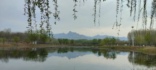 距离石家庄50公里的湿地公园景色极美赶紧来这抓住春天的尾巴