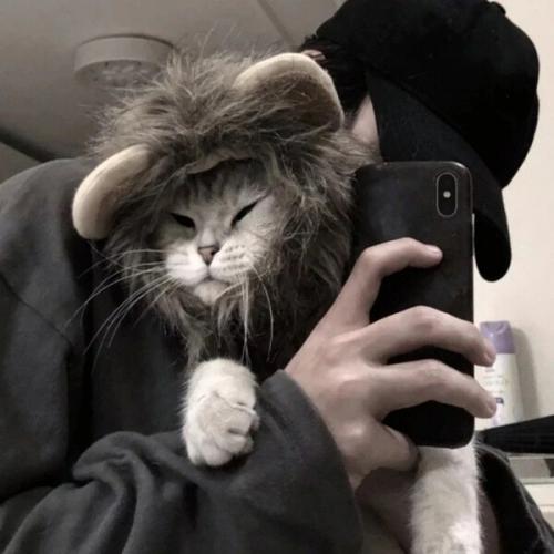 抱猫头像 男生头像 女生头像 真人 可爱