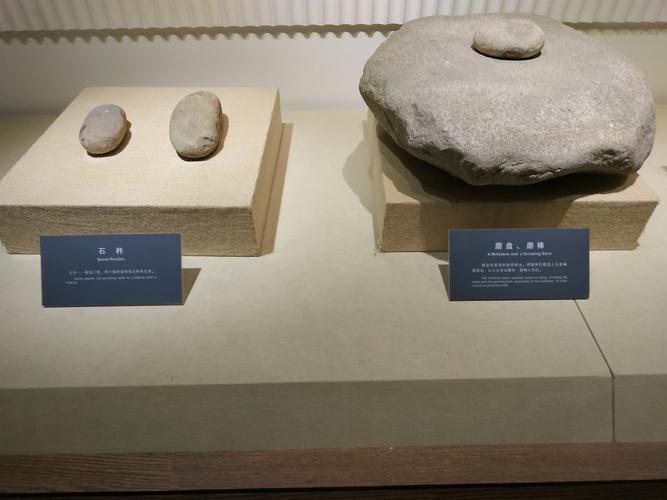 写美篇      渭河平原是中国最早的农业开垦区之一,6000年前,半坡人就