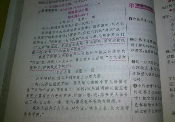 三年级观察日记三百字