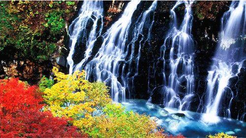 *酒店 木屋别墅 2晚露天温泉 成吉思汗烤肉 流星瀑布 花海 2天自由行)