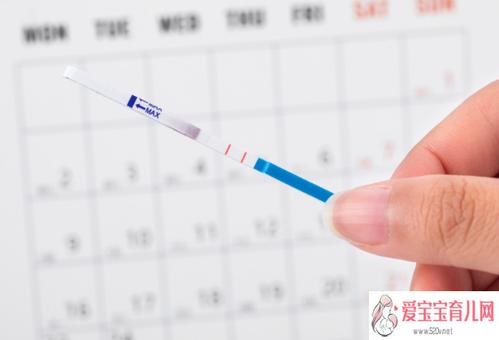 滤泡期/黄体期/月经期/排卵期怎么区分 分别是什么日子