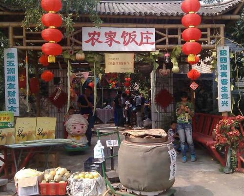 大兴区 >> 美食   标签: 创意菜 美食中餐馆餐馆 梨花村农家饭庄共