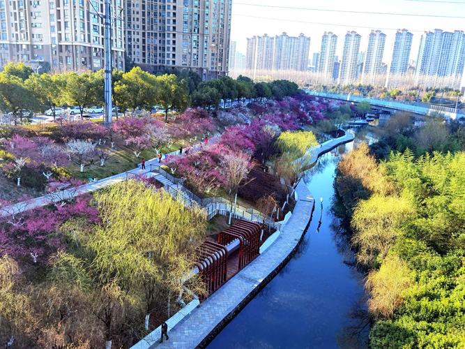 匡河公园 "十里梅花"