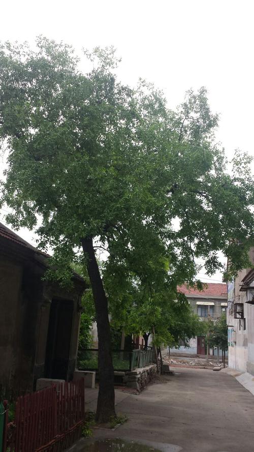 我的美篇