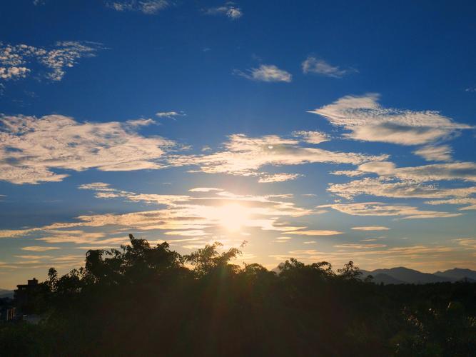 早晨的美景(手机拍摄作品5)