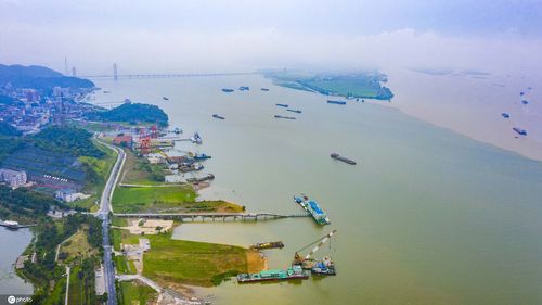 江西湖口长江湖口站超警戒水位 岸边树木被淹