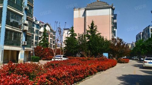 杨柳国际新城(a区)