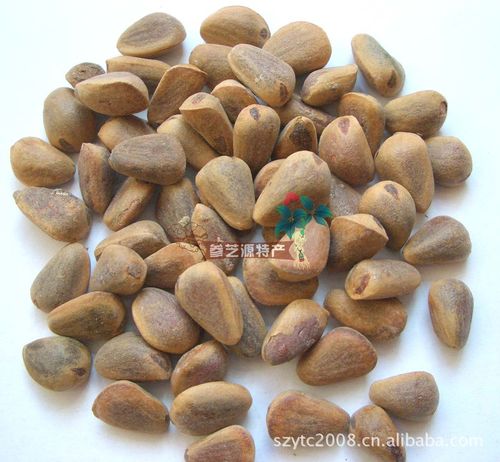 【批发红松子成熟率95% 包山松籽 生籽 500克 野