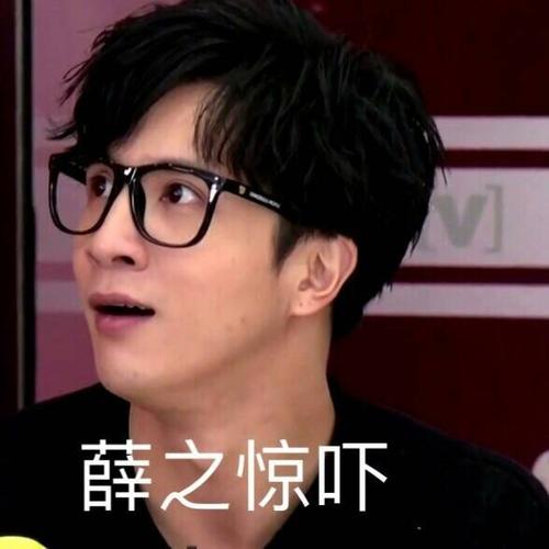 图源wb@薛之谦表情包工头