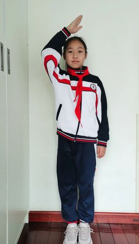 你好少先队广州市天河区第一实验小学少先队主题云队会