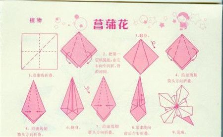 折纸大全菖蒲花的绽放