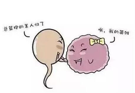 孕前3个月胎儿发育竟然这么神奇网友母体这些变化竟没注意