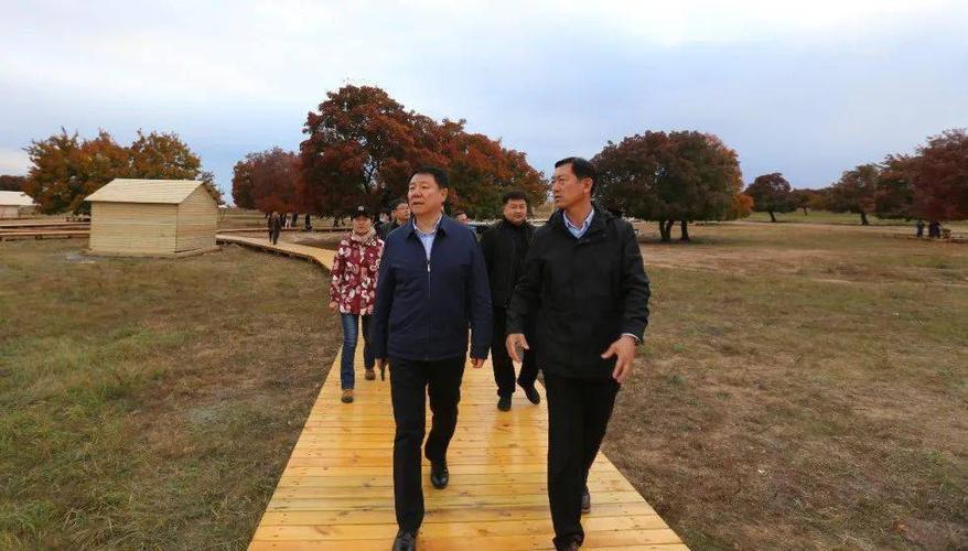 奇巴图深入阿尔山市,科右前旗和科右中旗督导调研相关工作