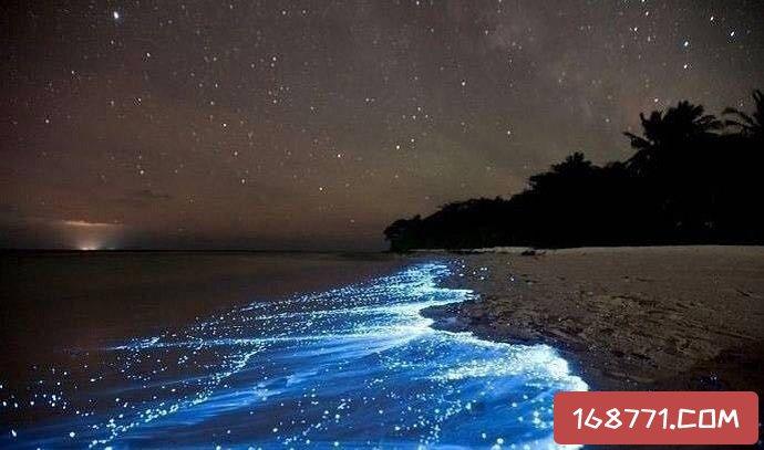 福建蓝眼泪海滩,相信不少人见过国外那种蓝色荧光海岸图片
