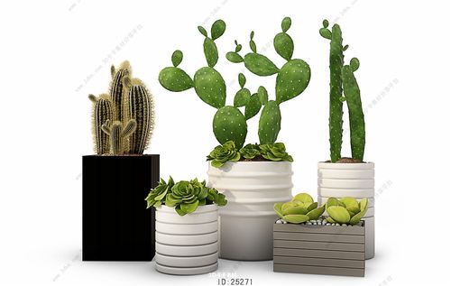 3d模型网 模型库 摆设装饰 盆景植物 北欧简约多肉植物盆栽仙人掌组合