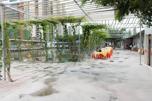 勒流这家坐拥15亩地的超级农庄!