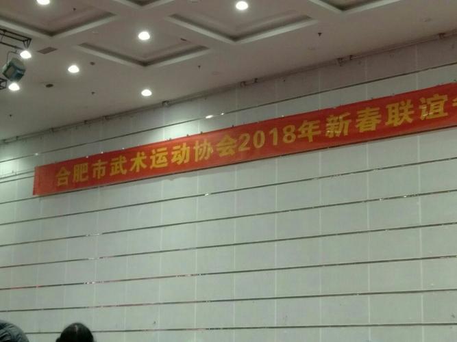 合肥武林大聚会记合肥市武术运动协会2018年新春联谊活动回顾