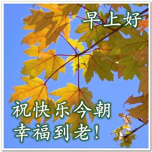 清晨早上好漂亮图片最美早上好祝福图片温馨带字