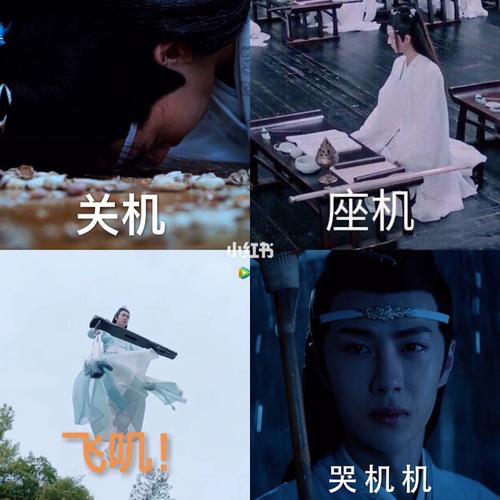 陈情令-蓝湛蓝忘机-王一博表情包