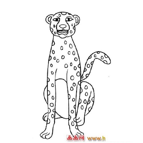凶悍的豹子简笔画