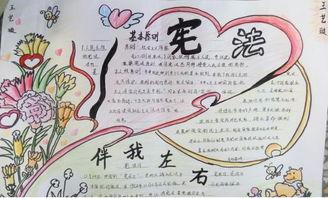 六年级宪法宣传日手抄报 六年级手抄报