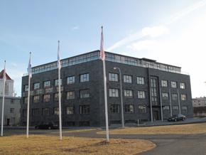 驻冰岛大使馆举办新春招待会