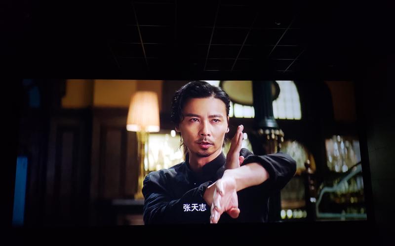 张天志vs贩毒团大boss后半段张天志咏春重现