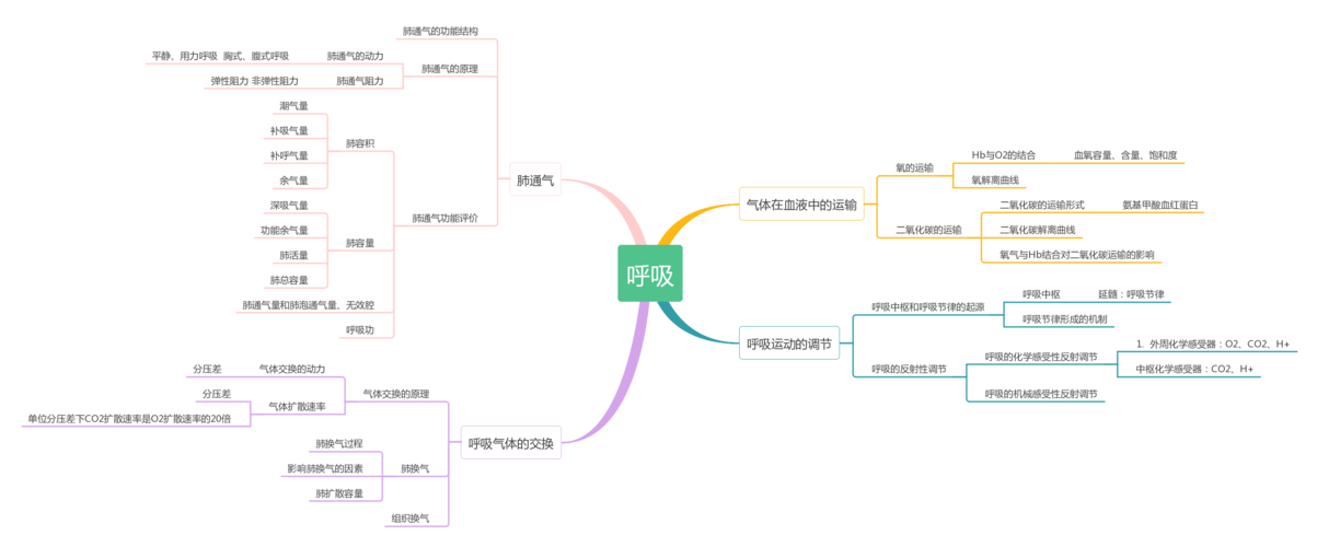 生理学知识点思维导图5.呼吸