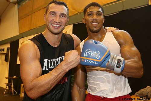 约书亚vs小克里琴科,最新动态