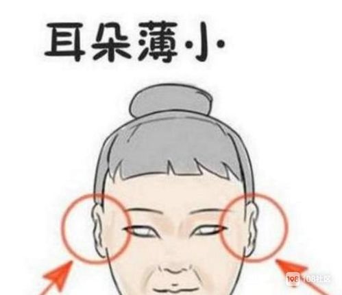 有苦情痣的女人要谈几段感情,据说,有苦情痣的人都是先苦后甜的.