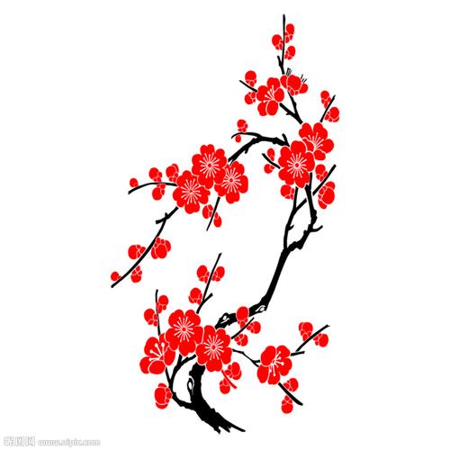 梅花图片