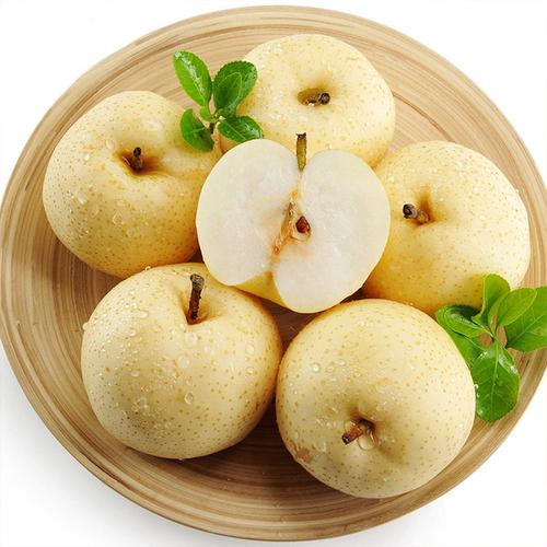 安徽特色水果--砀山酥梨