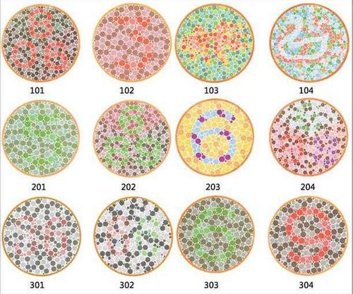 色盲色弱测试:能看到最后一张上的数字的可以当飞行员