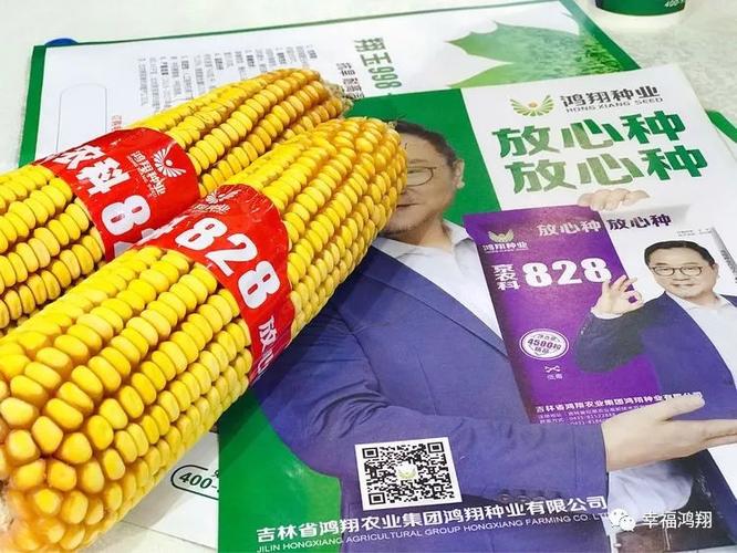 鸿翔种业参展2018年第十六届全国种子双交会