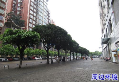 重庆市大渡口区春晖路街道松青路812号附31号房屋