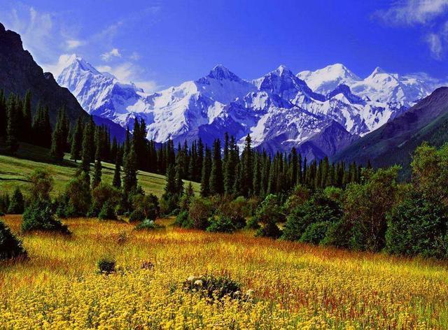 走进慕士水源地——天山·托木尔峰