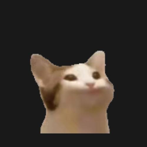 bdjw,pop cat是哪里来的