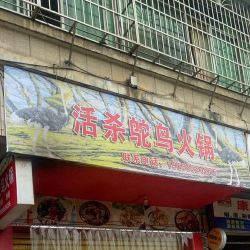 贵定县 >> 美食 标签: 火锅店美食餐馆 中餐馆 活杀鸵鸟火锅共多少人