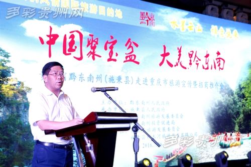 黔东南州委副书记,州人民政府州长冯仕文致辞(杨仁海摄)