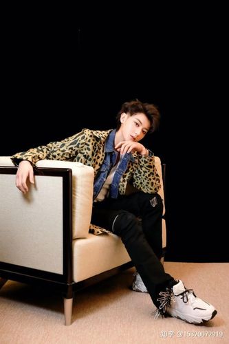 小刀电动车代言人黄子韬