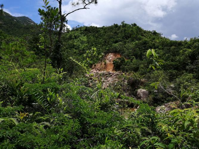 台山都斛蓝坑水库溯溪