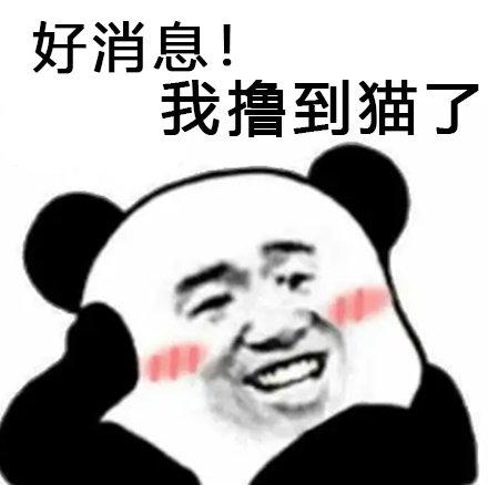 好消息好消息#这些好消息表情包拿走不谢,#双11来了#来说说你们最想