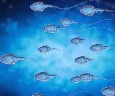 精子存活率低怎么办?遇到这些事男性少做