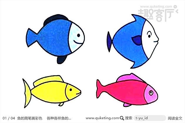 鱼的简笔画彩色 各种各样鱼的水彩画图片