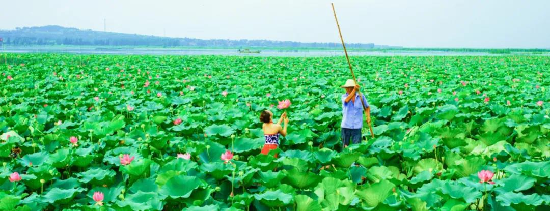 济宁市微山湖旅游区美丽蝶变