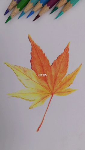 93枫叶简单画法