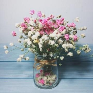 2020鲜花风景头像大全唯美 微信最吉利好看的头像漂亮