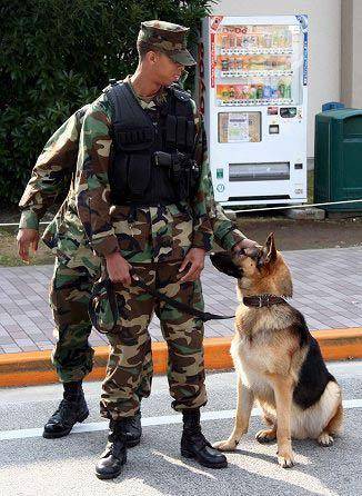 在横须贺军港内执勤的美军宪兵