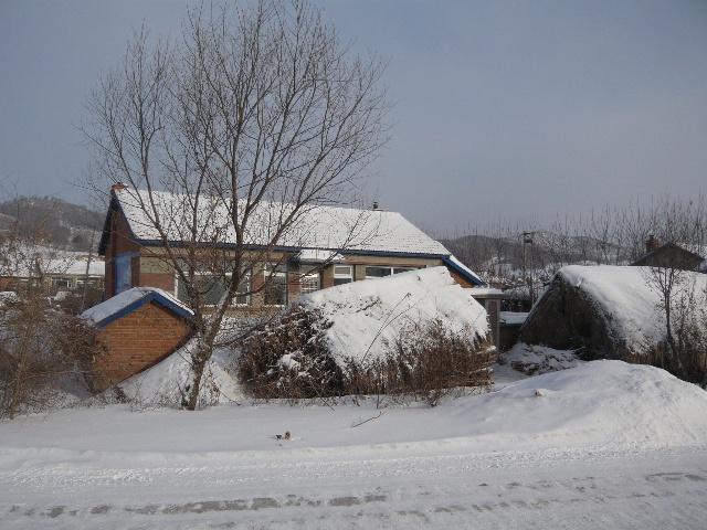 北方农村的冬天